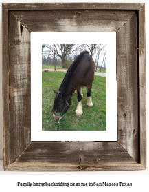 family horseback riding near me in San Marcos, Texas